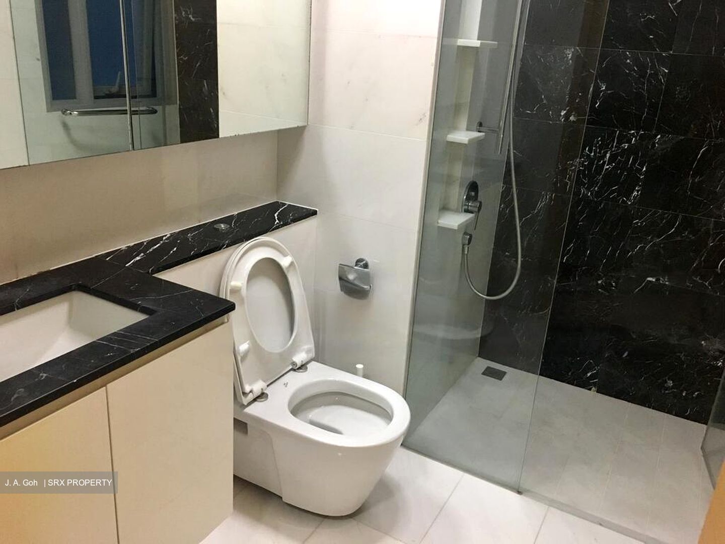 The Scala (D19), Apartment #498025461